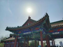 -莲花池公园