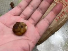 -秋栗香(地安门店)
