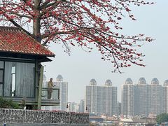 -喜洲吧·江畔老船厂·庭院餐厅(喜临院店)