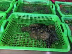 -众味海鲜大排档·活海鲜·潮汕味(南澳店)