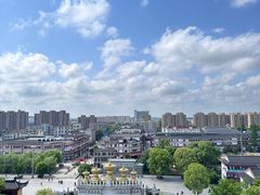 -上海东林寺(金山区)
