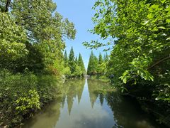 -东平国家森林公园