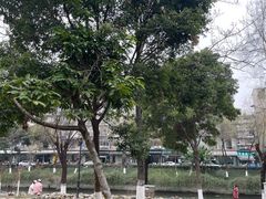 -沙河三洞古桥公园