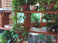 -思念果岭悦温泉