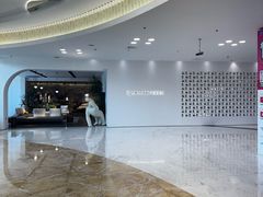-红星美凯龙(上海沪南店)