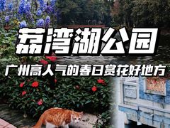 -荔湾湖公园