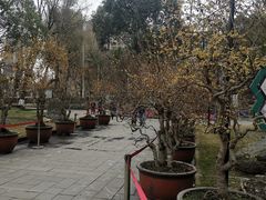 -温江公园