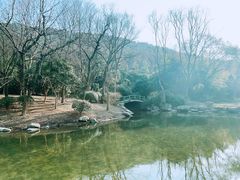 -宝界山林公园