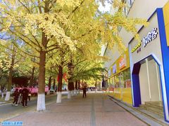 -辽东学院(南校区)