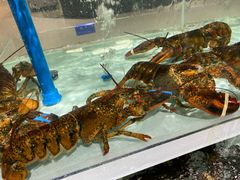 -盒马鲜生(新都心店)