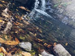 -云岫谷自然风景区