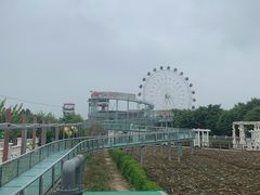 -百万葵园