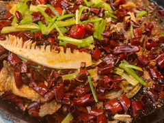 -老板恋上鱼(恒隆广场店)