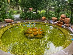 -漳州佰翔圆山酒店·圆山畔西餐厅