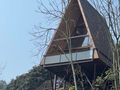 -伴山茶苑·一盏冰茶·半日山居