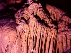 -酒仙湖景区