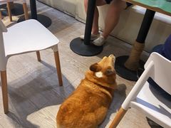 -小时光咖啡馆(北锣鼓巷店)