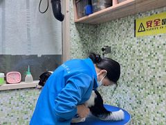 -瑞鹏宠物医院·微创内窥镜·骨外科·牙科(翠竹分院)