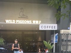 -野鸽子咖啡(航空路店)