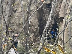 -大岭沟猕猴桃谷风景区