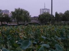 -五里湖湿地公园