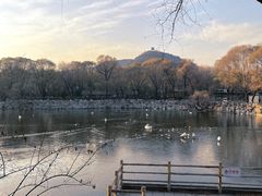 -石家庄市动物园