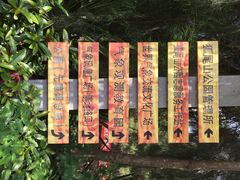 狐尾山公园-狐尾山公园