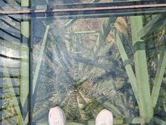 -世界恐龙谷景区