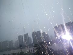 -野猫娱乐空间·酒吧·KTV(南屏店)