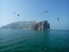 -长岛万鸟岛