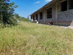 -南山特攻真人CS户外露营轰趴拓展基地