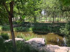 -东郊湿地公园