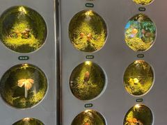 -野·大山里野生菌石锅土鸡(益田假日店)