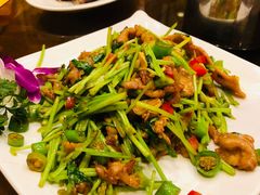 -燕风楼烤鸭店(建设总店)