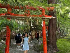 -野宫神社