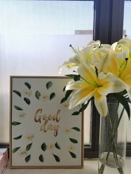 -安那般那皮肤年轻化ANAPANA