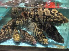 -阿伟海鲜楼·福建菜(延寿店)