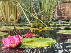 -国家植物园南园