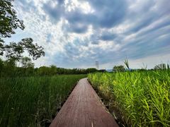 -永定河休闲森林公园