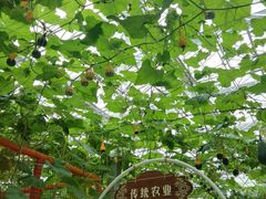 -迪茵湖田家舍生态农场