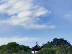 -莲花池公园