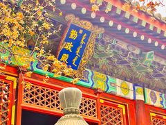 -香山公园