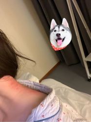 -芳香乐府疗愈空间·SPA·冥想