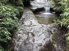 -中国大熊猫保护研究中心雅安碧峰峡基地