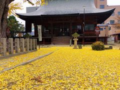 -医王山·飞騨国分寺