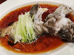 清蒸龙趸鱼-翠园(北京王府中环店)