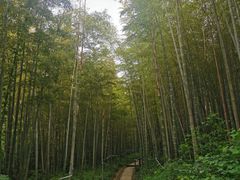-南山风景名胜区