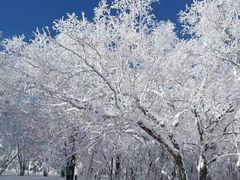 -雾凇岛
