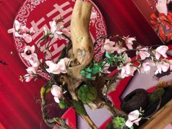-保定金沙芝柏婚礼策划