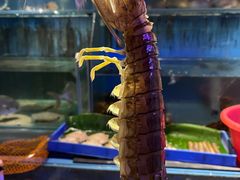 -辉记炭烧海鲜大排档·老字号(福田店)